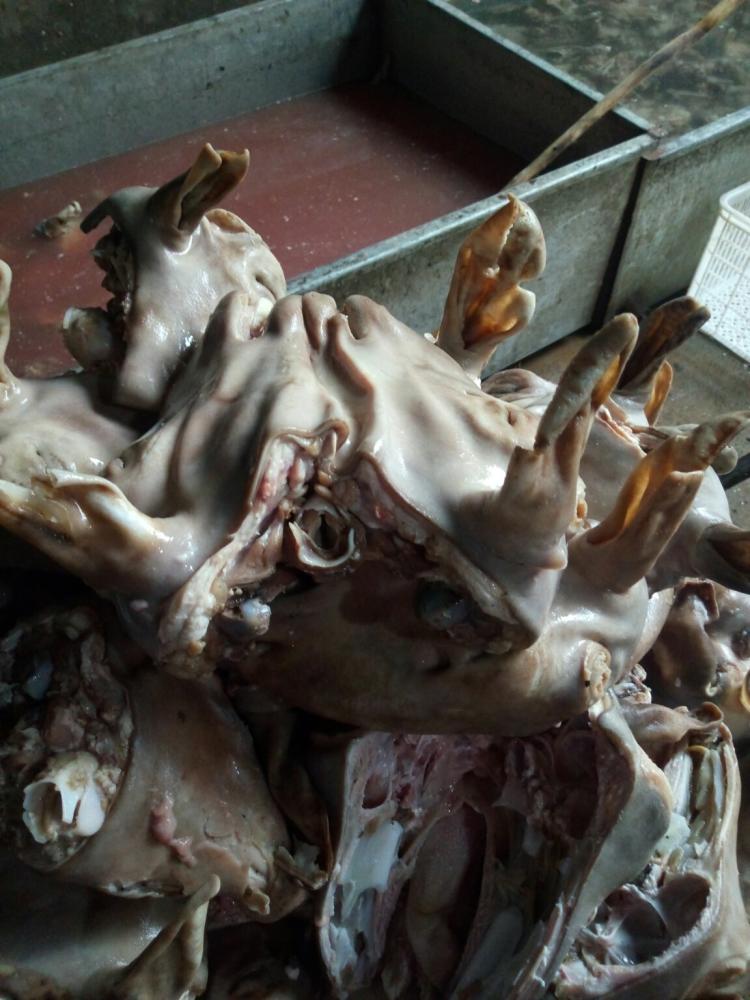 kaiyun开云网页版