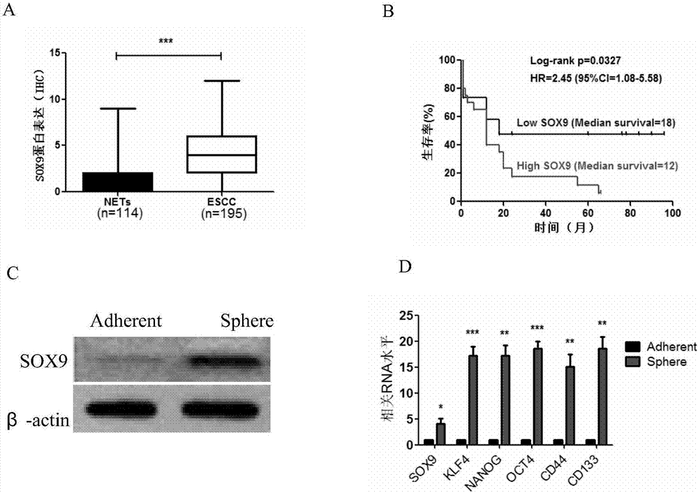 kaiyun开云网页版