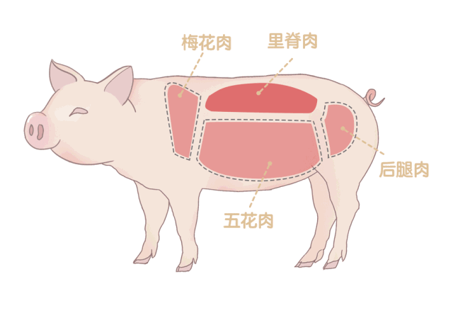 kaiyun开云网页版