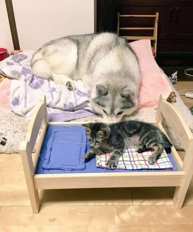 kaiyun开云官方在线登录