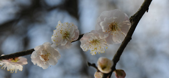 kaiyun网页登录入口