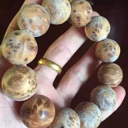 kaiyun开云网页版