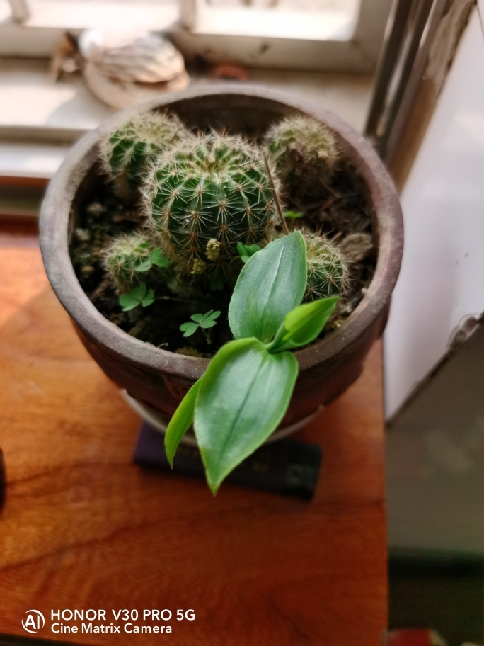 kaiyun网页登录入口