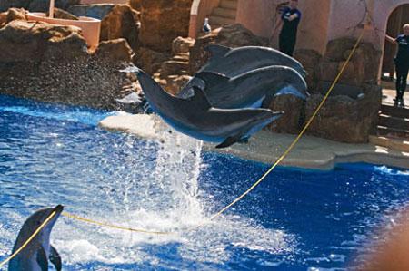 kaiyun开云网页版