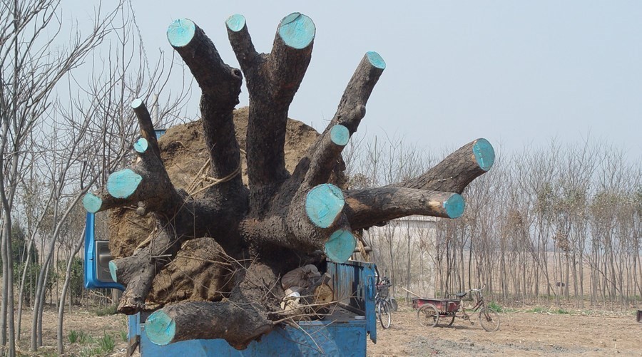 kaiyun开云官方在线登录