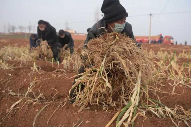 kaiyun网页登录入口