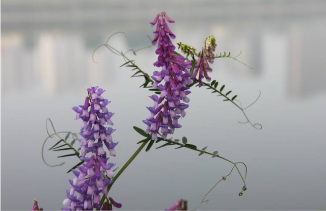 kaiyun开云网页版