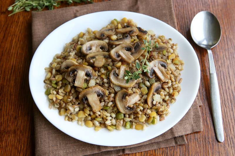 kaiyun开云网页版