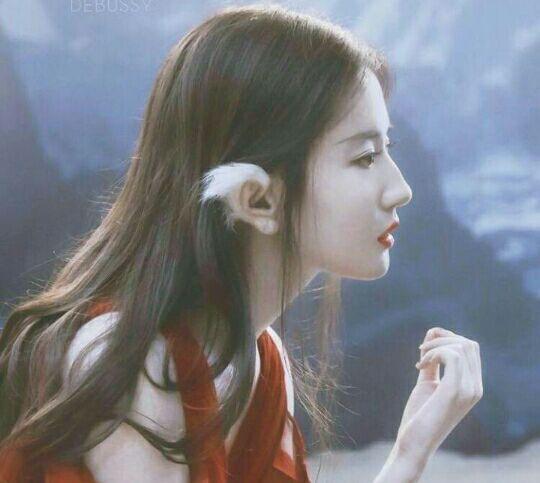 kaiyun开云官方在线登录