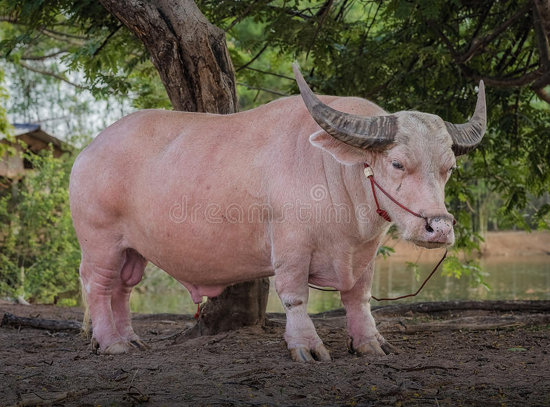 kaiyun开云网页版