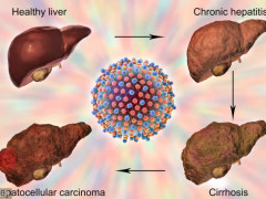 kaiyun网页登录入口