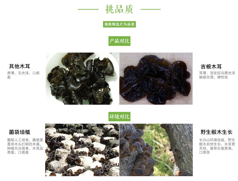 kaiyun网页登录入口