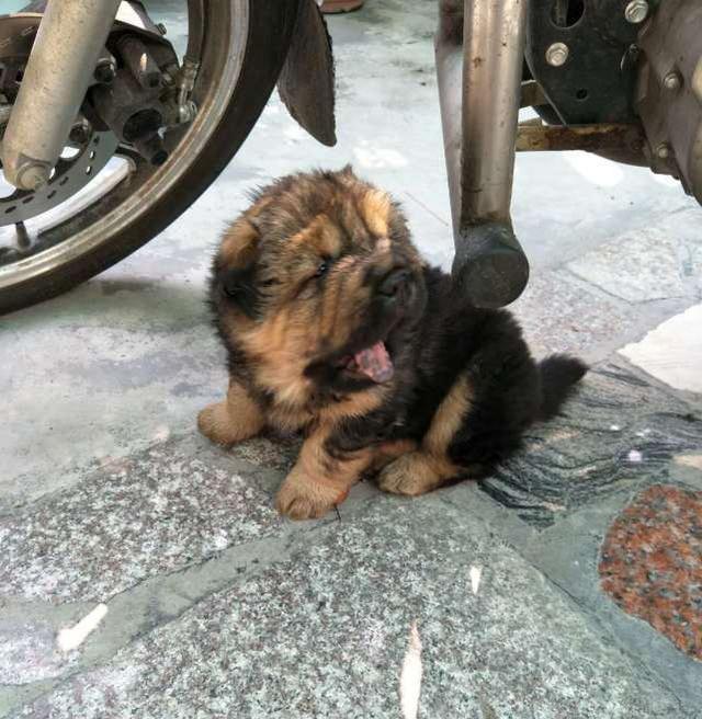 kaiyun网页登录入口:《北国圣境大美长白》作品欣赏(图2) kaiyun开云官方在线登录