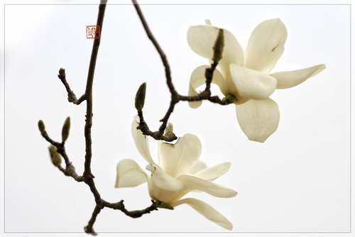 瑞银集团(UBSGroup)在纽约对外开放其艺术藏品_kaiyun开云网页版(图2) kaiyun网页登录入口