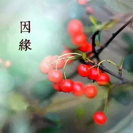 kaiyun开云官方在线登录