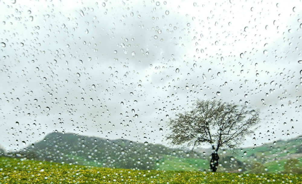 kaiyun开云网页版