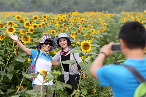 kaiyun开云官方在线登录