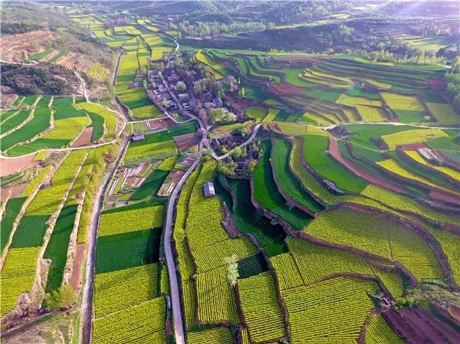 kaiyun开云官方在线登录