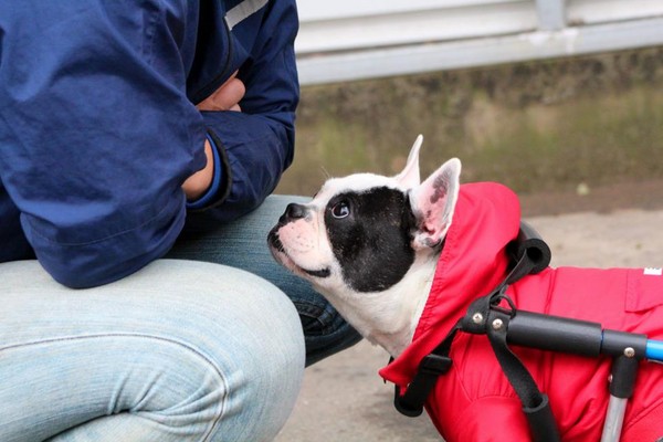 kaiyun开云官方在线登录