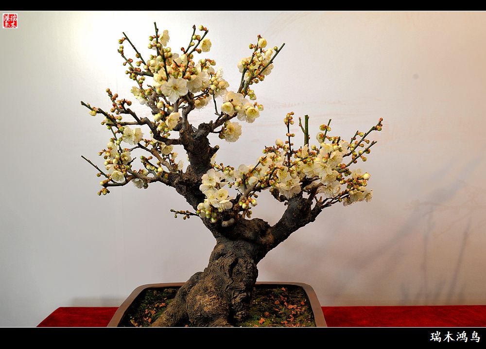 kaiyun网页登录入口