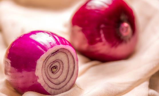 kaiyun开云官方在线登录