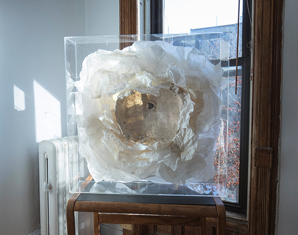 kaiyun开云网页版