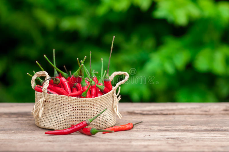 kaiyun开云官方在线登录