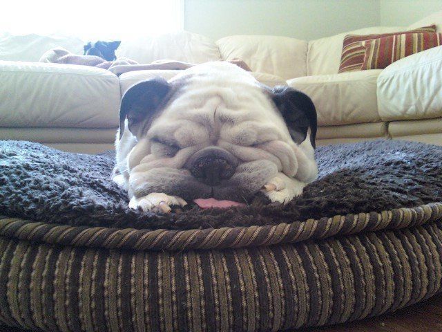 kaiyun网页登录入口