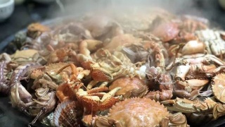 kaiyun开云官方在线登录