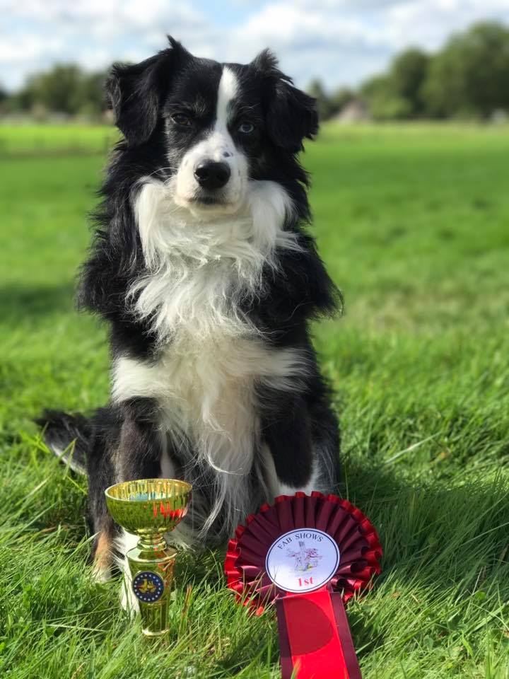 kaiyun网页登录入口