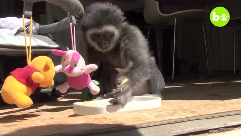 kaiyun开云官方在线登录