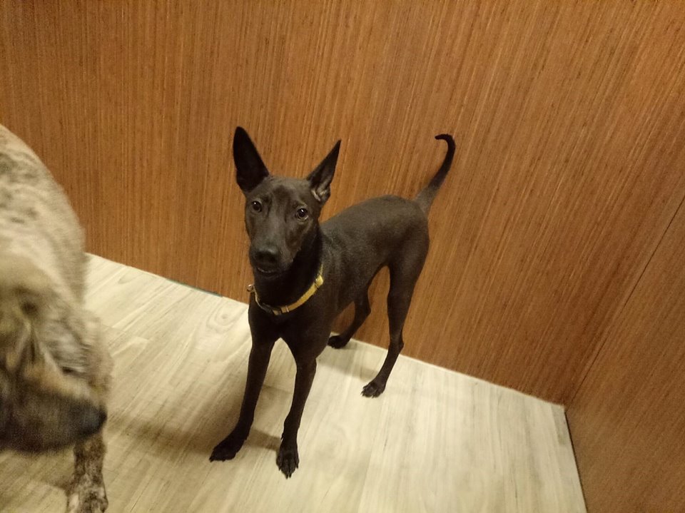 kaiyun开云网页版