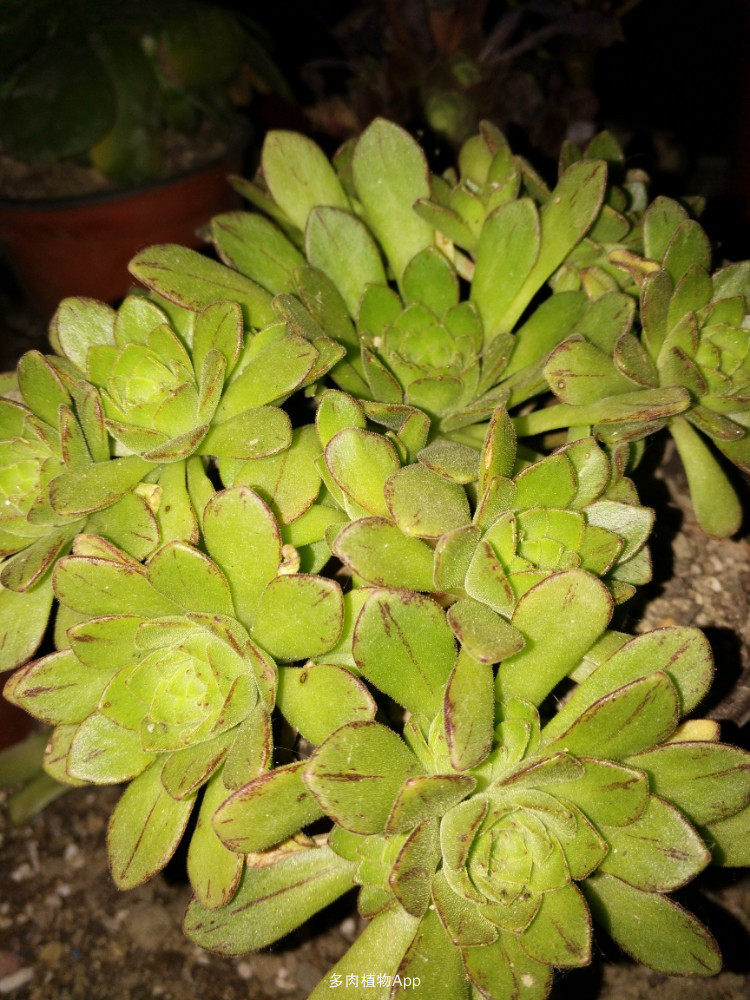 kaiyun网页登录入口