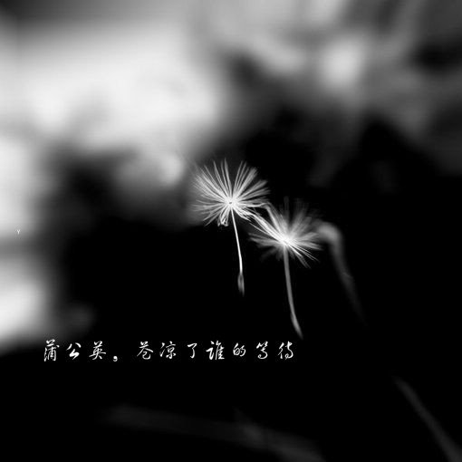 kaiyun网页登录入口