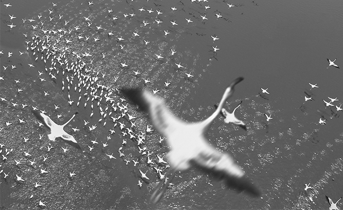 kaiyun开云官方在线登录