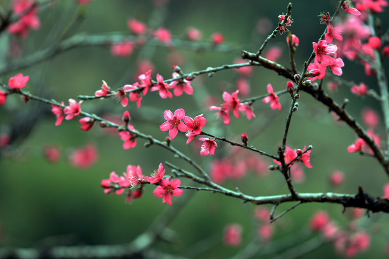 kaiyun开云官方在线登录
