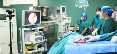 kaiyun开云网页版