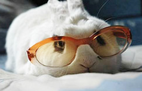 kaiyun开云官方在线登录