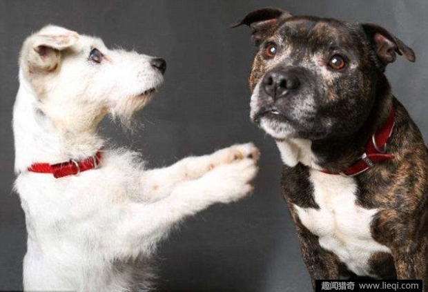 kaiyun开云网页版