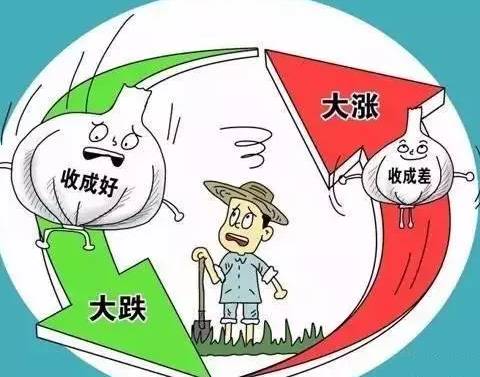 kaiyun开云官方在线登录