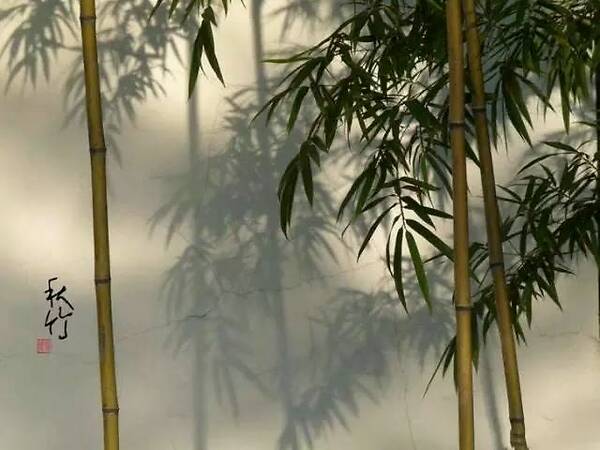 kaiyun网页登录入口