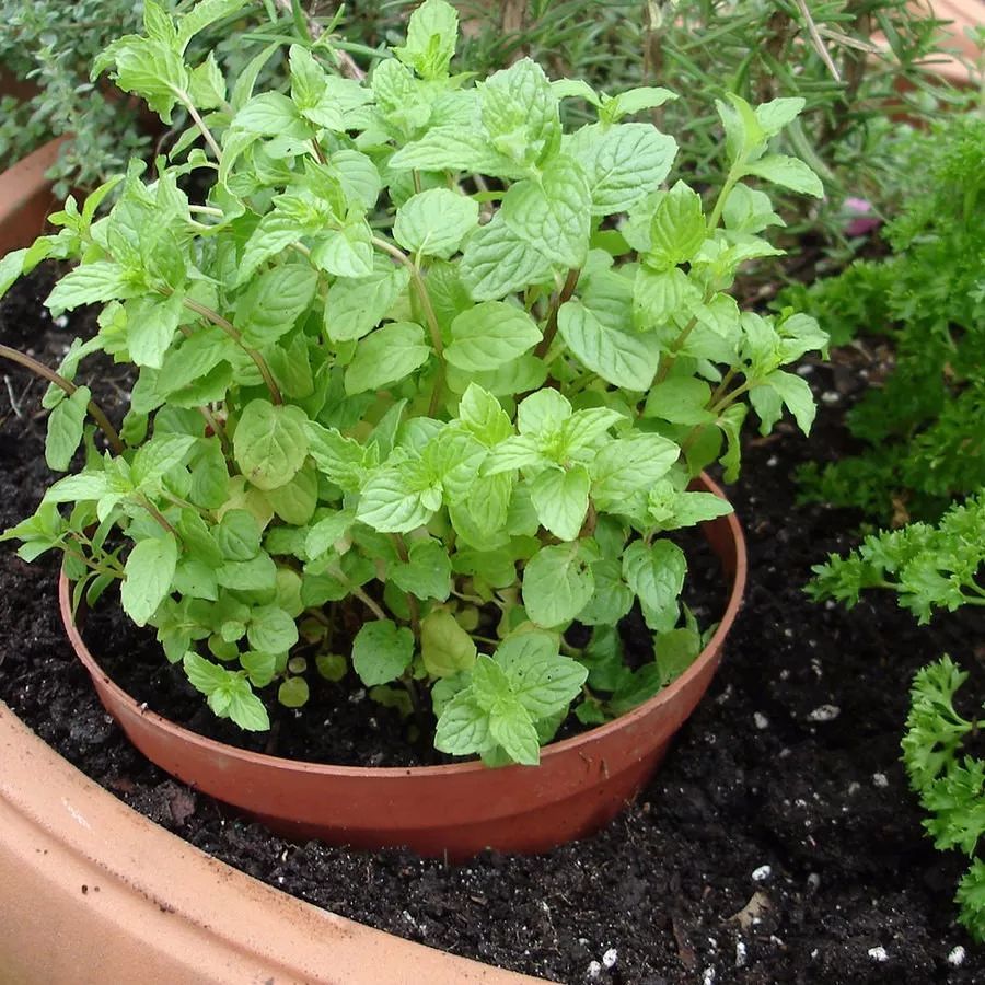 kaiyun开云官方在线登录