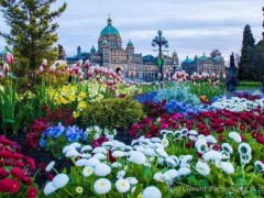 kaiyun开云官方在线登录