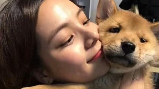 kaiyun开云官方在线登录