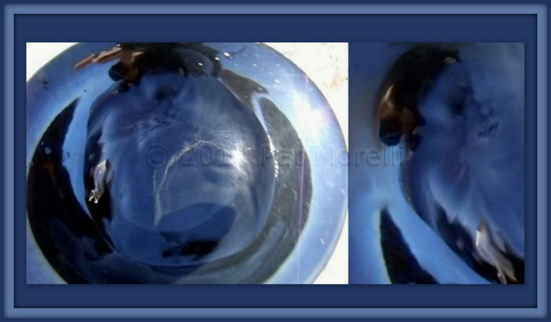 kaiyun开云网页版