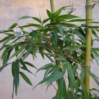 kaiyun开云官方在线登录