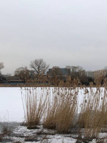 kaiyun开云网页版