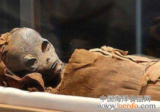 kaiyun开云网页版